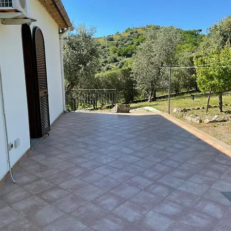 Casa Del Talento *